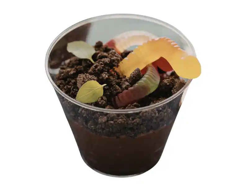 Chocolate buscuit pudding