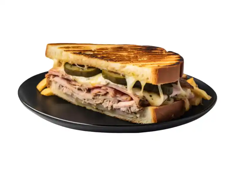 Mayo & butter  Chicken Sandwich